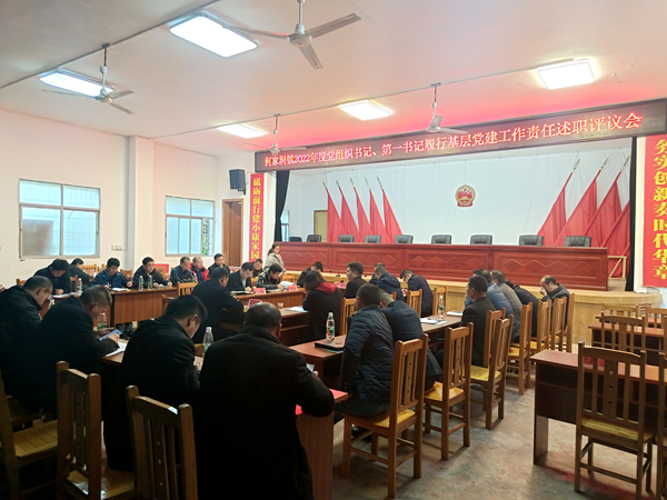 双牌何家洞镇：党建述职“拼”实绩，踔厉奋发“谋”新篇（图）_副本.png