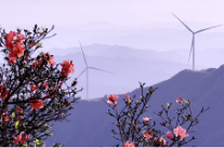 双牌阳明山：千里江山与绿色风车的交响