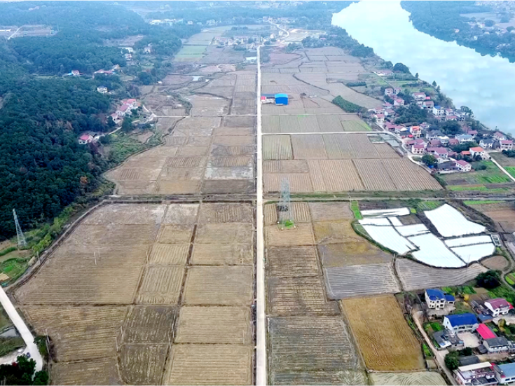 双牌：“零散田”变“连片田” 高标准农田建设正酣