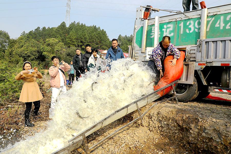 增殖放流 01_副本.jpg