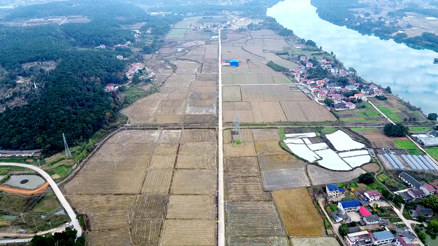 高标准农田 01_副本.png