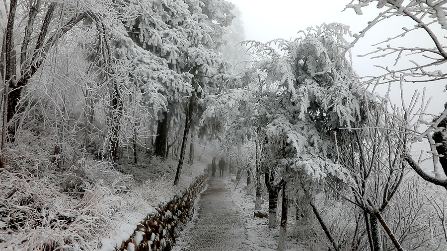 雾凇 02_副本.png