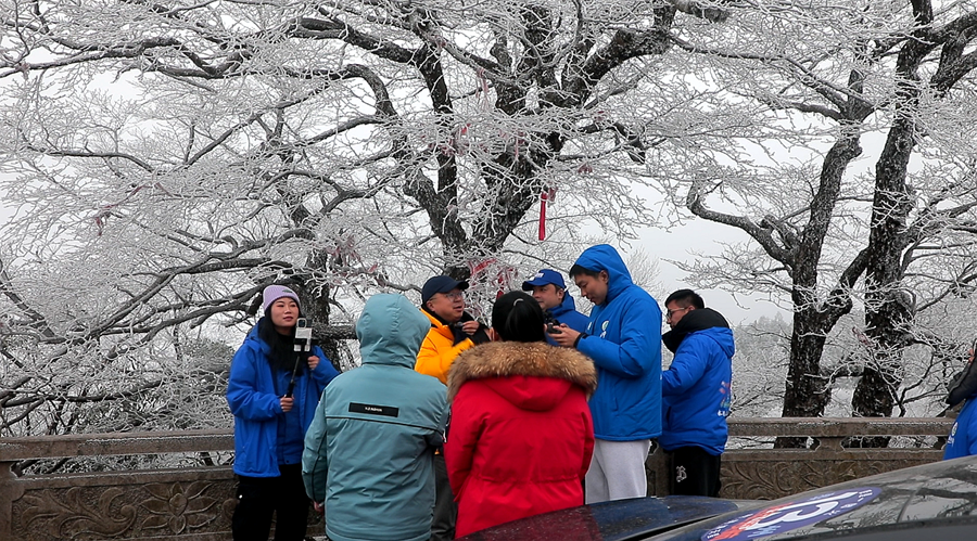 雾凇 06_副本.png