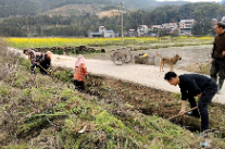 双牌县麻江镇： 疏通灌溉“生命线” 护航春耕保民生
