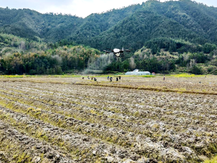 双牌县麻江镇：人勤春早栽烟忙 科技赋能促振兴