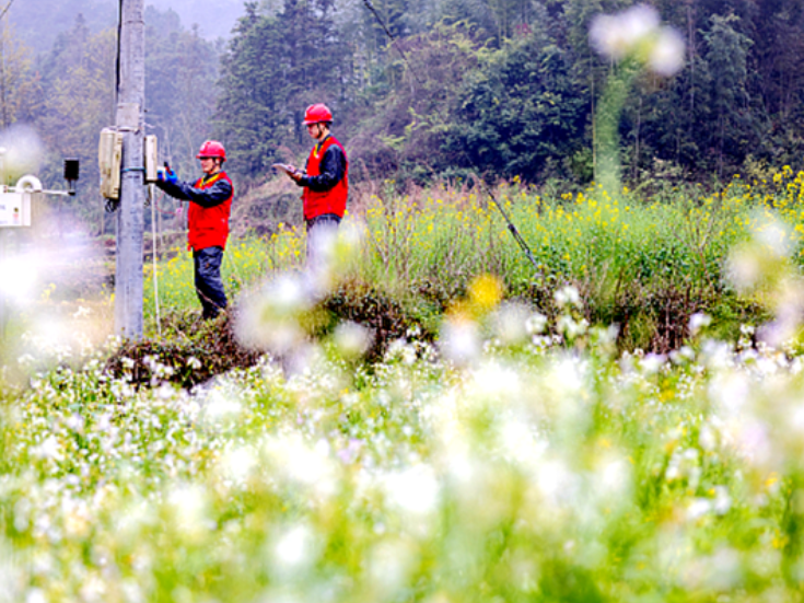 国网双牌县供电公司：多维度筑牢防外破防线 守护电网安全“生命线”