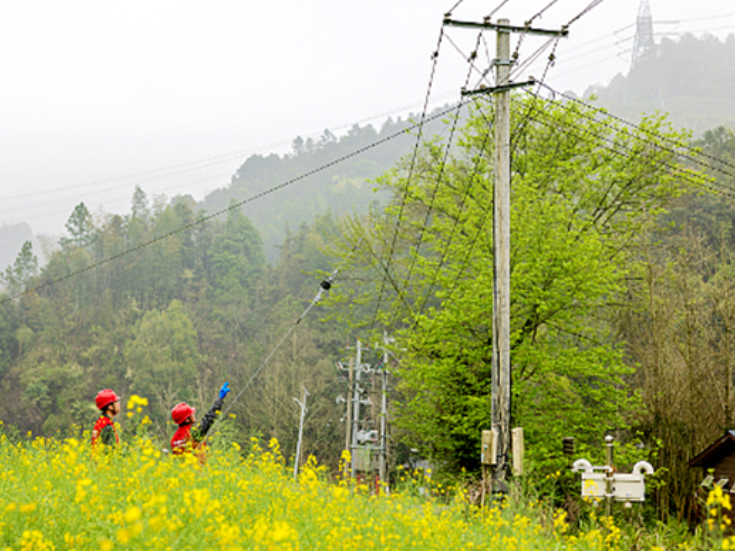 国网双牌县供电公司：“党建+”蓄满春耕电 护航农时不负时