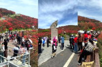 苏永一家亲 | 江苏广播2026永州寻秀之旅一行走进双牌阳明山