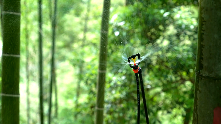 蘑菇 01_副本.png