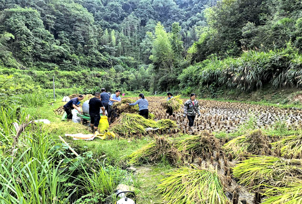 五星岭乡:志愿服务润田间 便民实事 暖民心5_副本.png 五星岭乡:志愿服务润田间 便民实事 暖民心5_副本.png