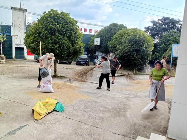 五星岭乡:志愿服务润田间 便民实事 暖民心4_副本.png 五星岭乡:志愿服务润田间 便民实事 暖民心4_副本.png