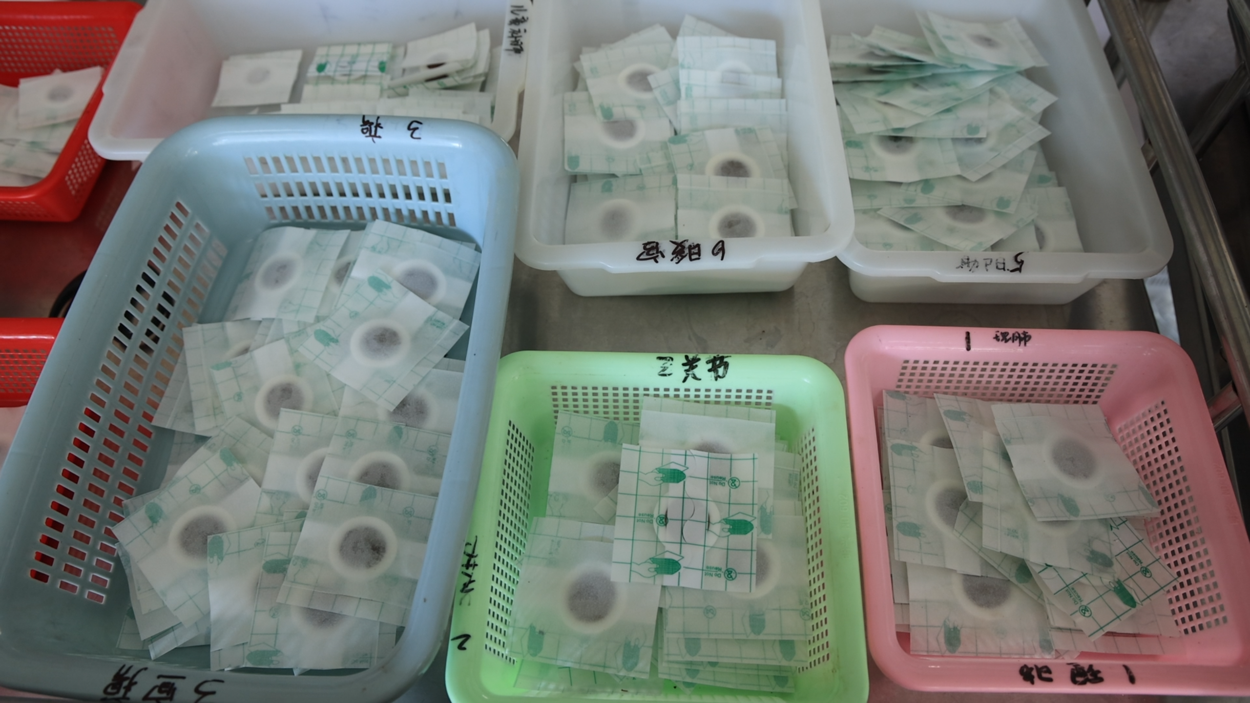 三伏贴4.png 三伏贴4.png