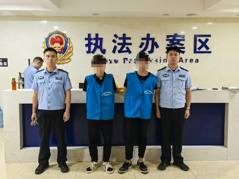 48小时速破！双牌公安打掉一流窜“拉车门”盗窃团伙