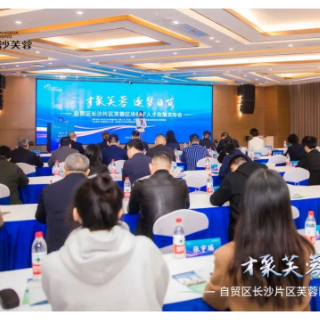 升级版“自贸区芙蓉区块骨干人才（E类）认定实施办法”对外发布！