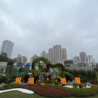 喜迎国庆，鲜花绿雕扮靓城市街景
