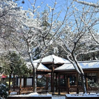 好看！芙蓉雪景很美，人更美！