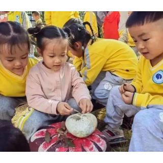 芙蓉区幼小衔接②立足园情，以自主游戏助力幼小科学衔接