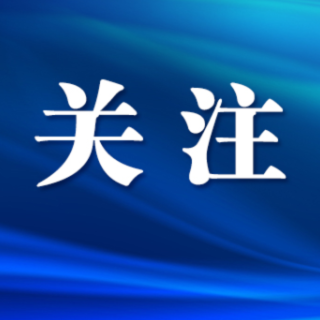 自贸区芙蓉区块：应对东盟技术性贸易措施综合服务体系畅通企业出海
