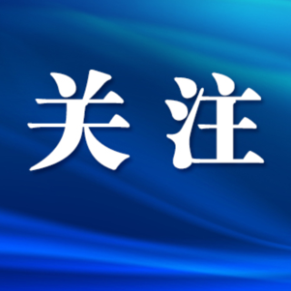 长沙市芙蓉区：织密“微网格” 撬动“大治理”