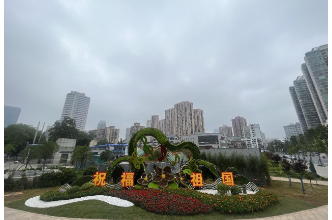 喜迎国庆，鲜花绿雕扮靓城市街景