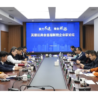 芙蓉区工商联（商会）首届新锐企业家论坛开讲
