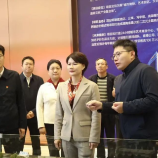 崔晓调研朝阳街道全面工作