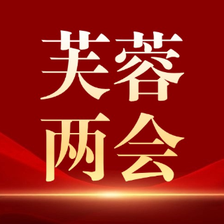 聚焦芙蓉区两会，代表委员们这样说→