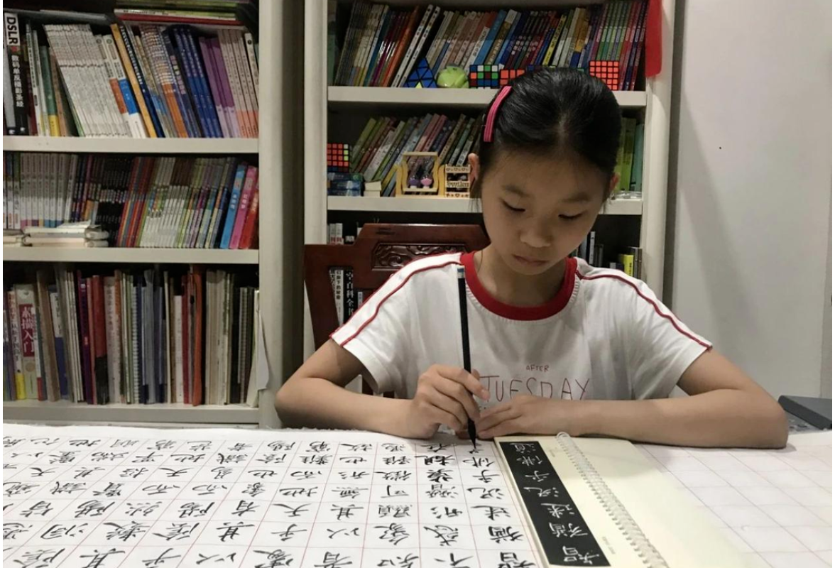 芙蓉之花｜流畅英文对话国外网友！新时代好少年姐弟同心讲好中国故事