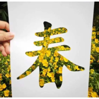芙蓉之美｜请收下！芙蓉园艺师为你裁下的最美春景
