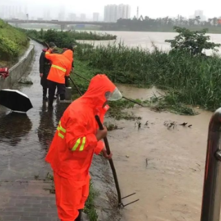 “汛”速行动！芙蓉区多部门联动 打好防汛护堤“主动仗”