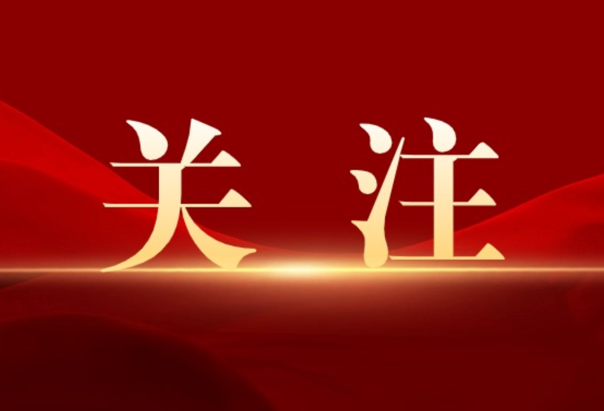芙蓉区人民政府门户网站连获佳绩 数字政府建设显成效