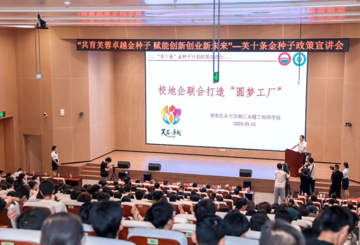 “金种子”破土而出，“芙十条”助力青年双创加速