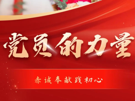 海报｜党员的力量