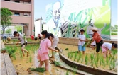 一周芙蓉荟｜清积水、讲反诈、伴童行，芙蓉夏天不停歇