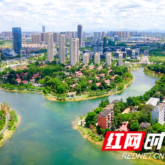 科研楼的灯，湿地里的星：东湖畔，生态与科技“双向奔赴”