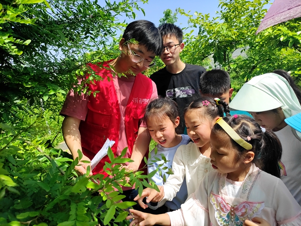 青年志愿者在中药标本园为青少年讲解草本知识_副本.jpg