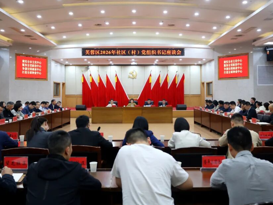 崔晓调研全区基层党建工作并主持召开座谈会
