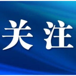 芙蓉区政府常务会议暨区政府党组2026年第5次（扩大）会议召开