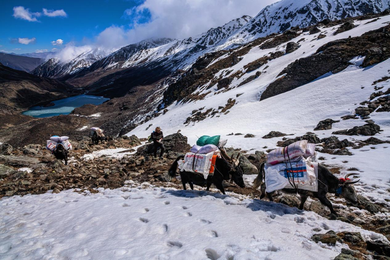 图片14_副本.png 图片14_副本.png