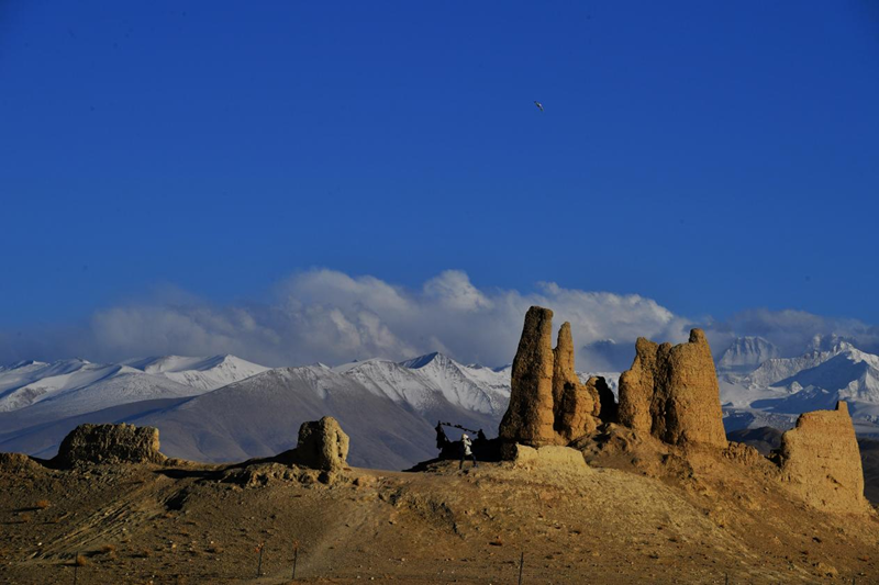 图片6_副本.png 图片6_副本.png