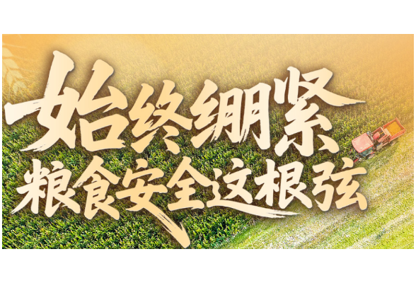 看图学习丨端牢中国饭碗 总书记这样阐释大国“粮”策