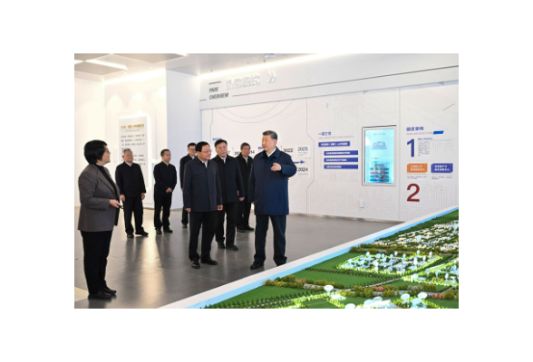 推动高质量发展，总书记强调因地制宜