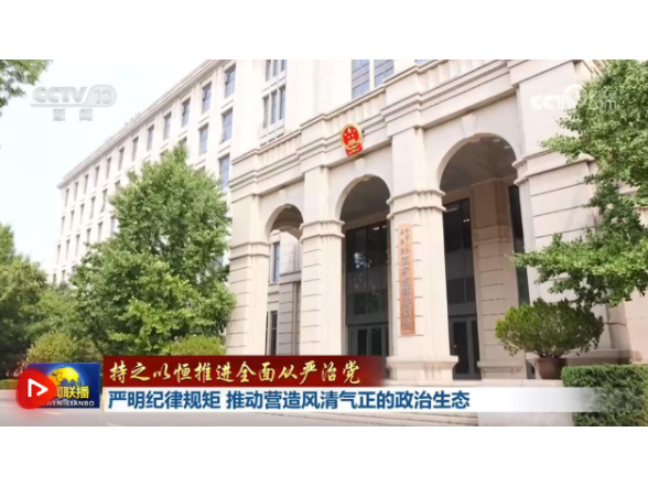 【持之以恒推进全面从严治党】严明纪律规矩 推动营造风清气正的政治生态