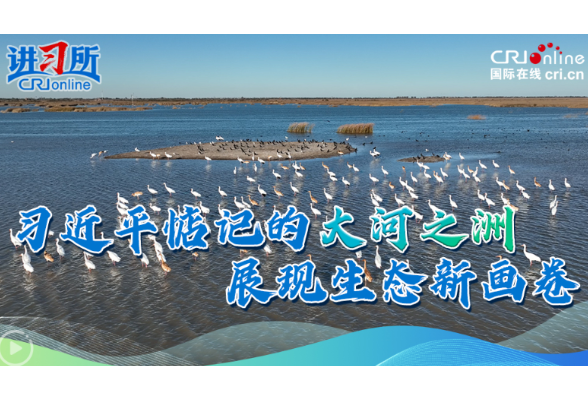 【讲习所·追光的你】习近平惦记的大河之洲展现生态新画卷