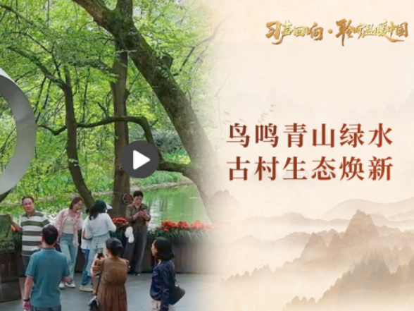 【习声回响·聆听温暖中国】鸟鸣青山绿水 古村生态焕新