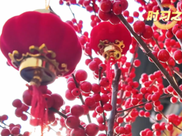 时习之丨“我最大的心愿，就是大家都能欢欢喜喜过好年”