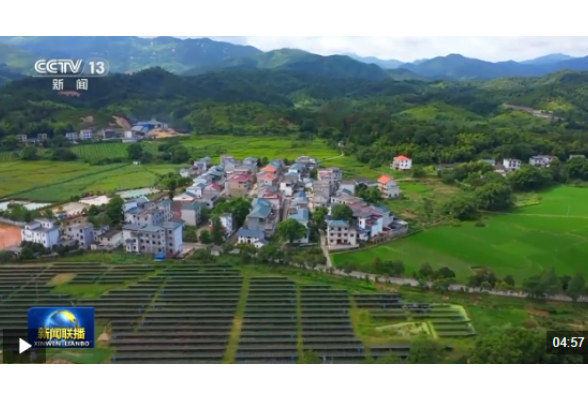 情满中国年丨绘就宜居宜业和美乡村新画卷