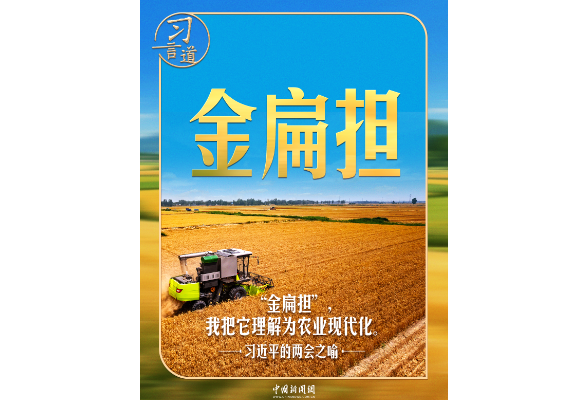 习近平的两会之喻｜“金扁担”，我把它理解为农业现代化