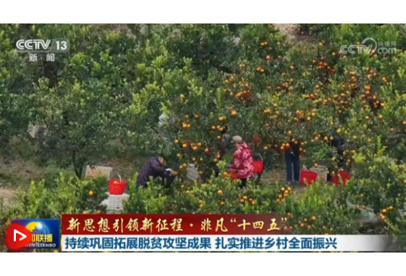 【新思想引领新征程·非凡“十四五”】持续巩固拓展脱贫攻坚成果 扎实推进乡村全面振兴