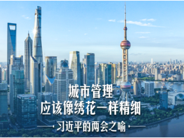 习近平的两会之喻｜城市管理应该像绣花一样精细